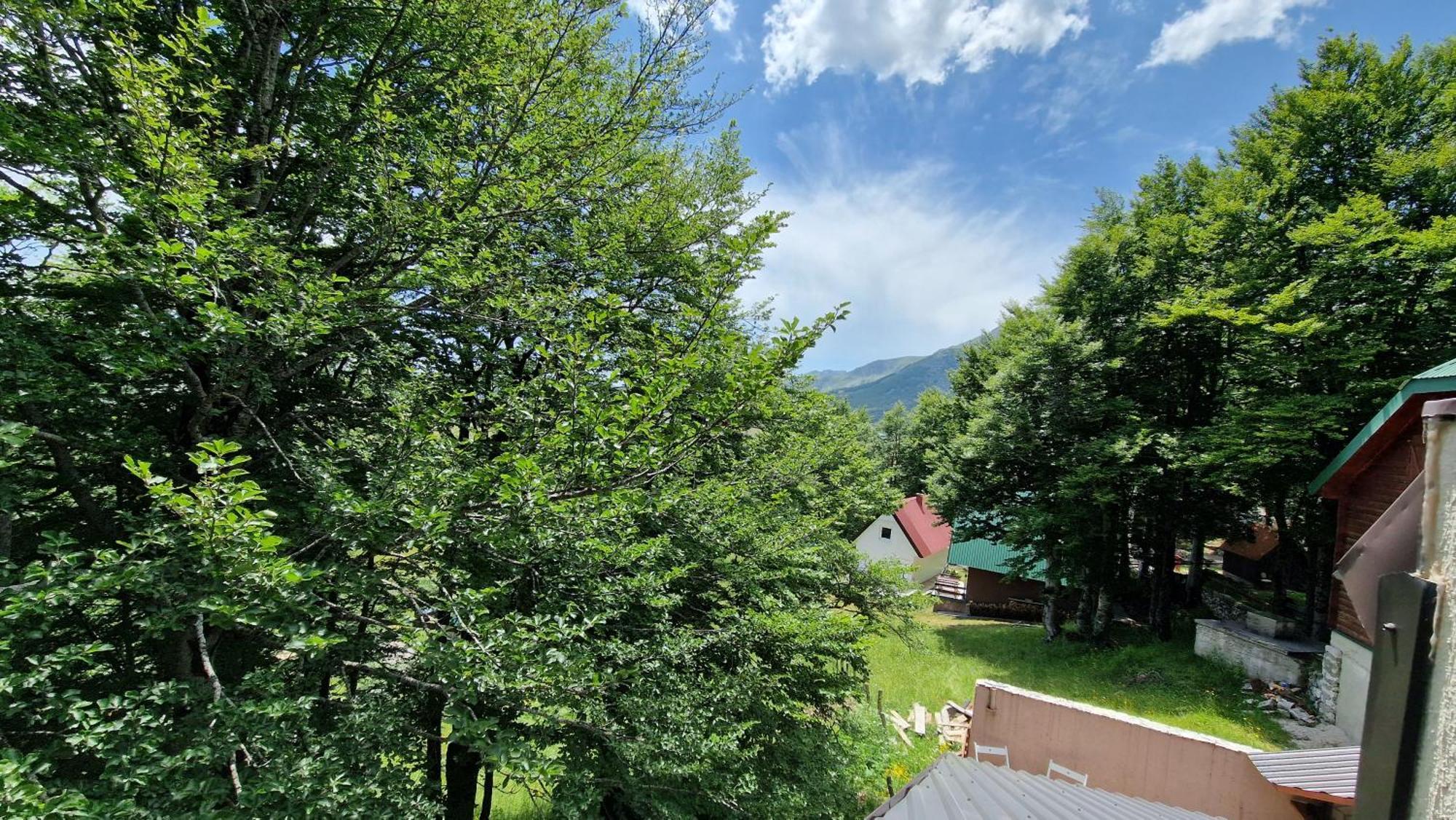 Gorska Vila Apartments Жабляк Номер фото