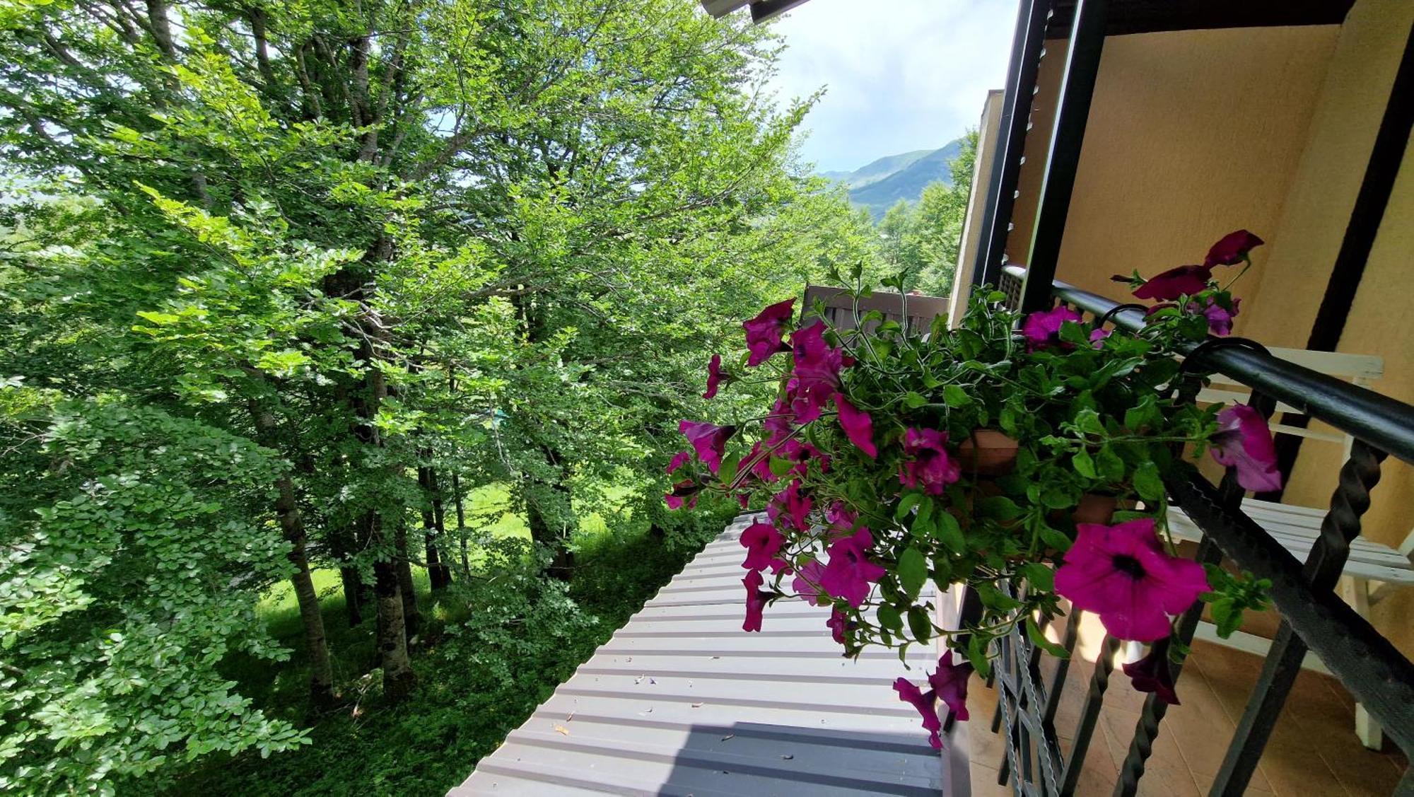 Gorska Vila Apartments Жабляк Номер фото